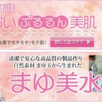 キャプチャ