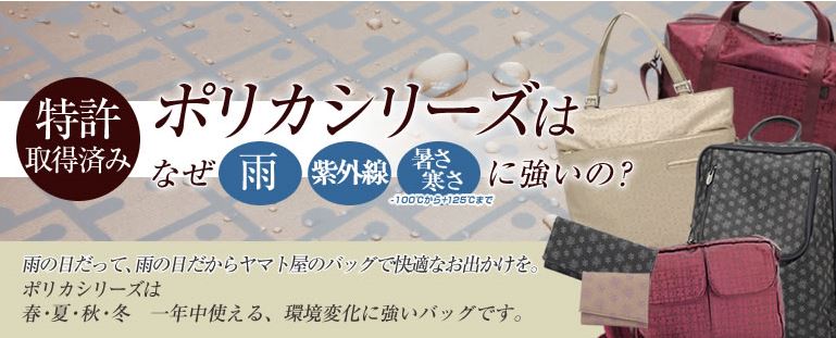 キャプチャ