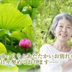 キャプチャ
