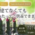 キャプチャ