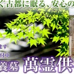 キャプチャ