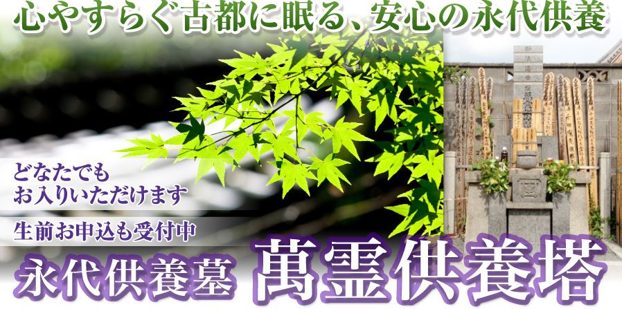 キャプチャ