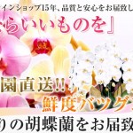 キャプチャ