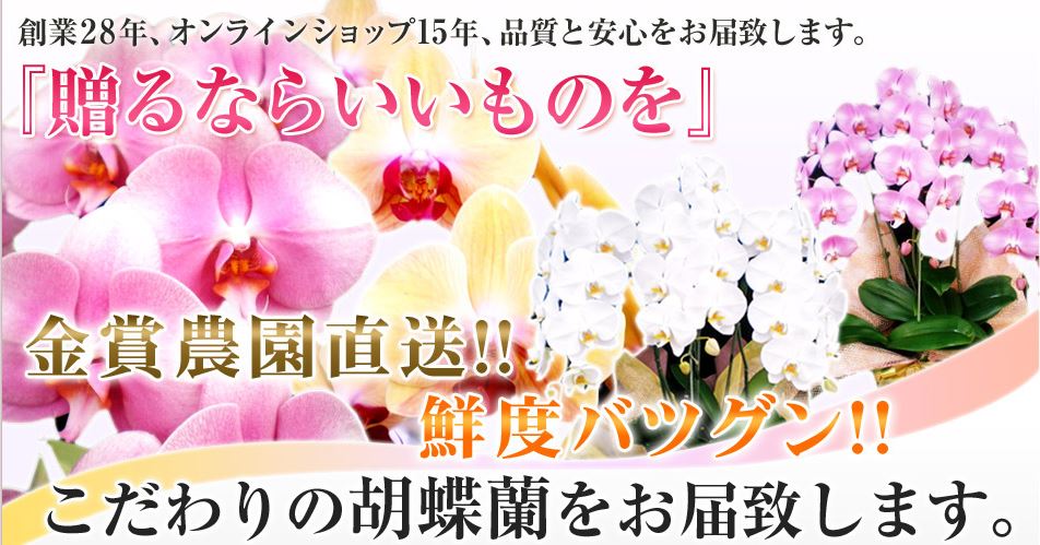 キャプチャ