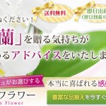 キャプチャ