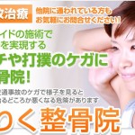 キャプチャー