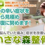 キャプチャー