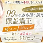 キャプチャー